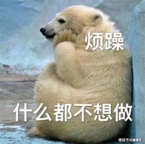 吃瓜群众图片动态图,趣味横生的围观瞬间